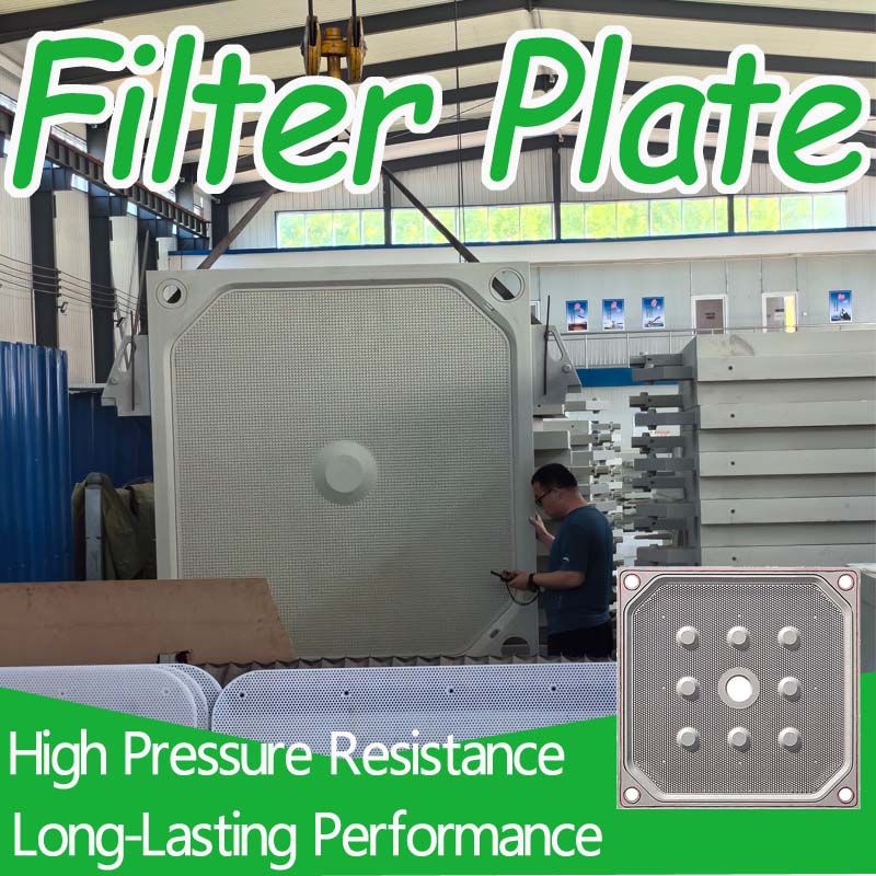 ¿Qué son las placas filtrantes? Conozca sus componentes